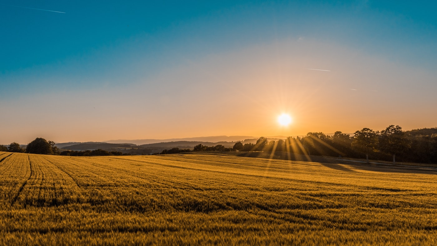 MBA — Agribusiness Management